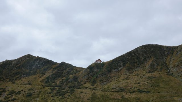 DSC09547