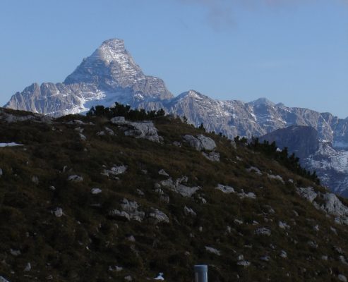 Unbenannt