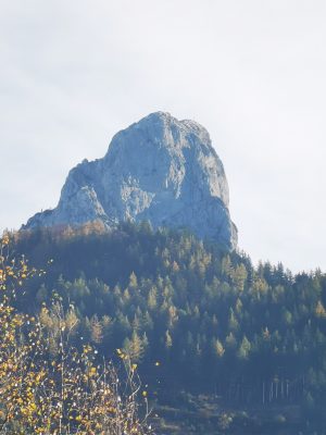 IMG_20231101_091608