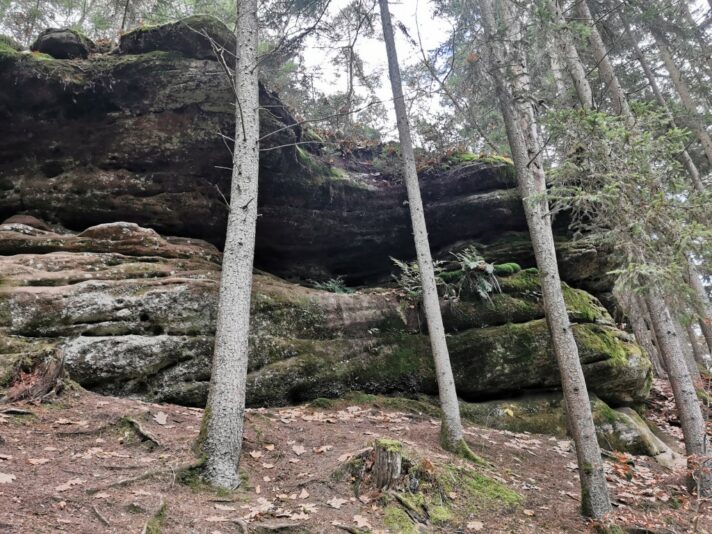 schwarzachklamm-feucht (2)