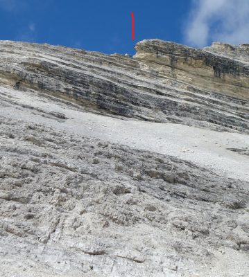 Steig