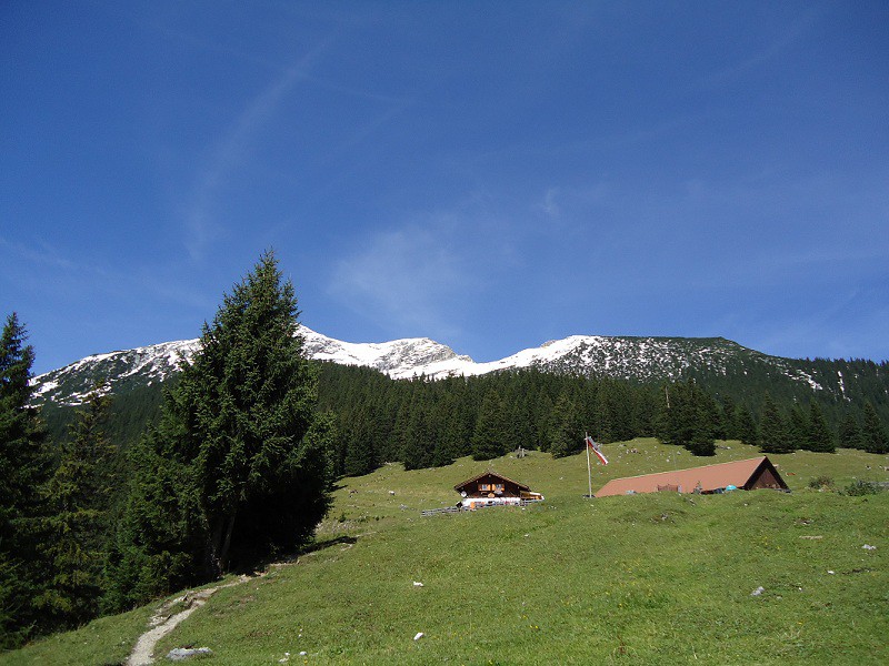 Tuftlalm_im_Hintergrund_berg_Daniel.jpg