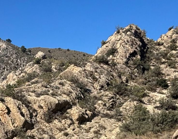 spanien-andalusien.jpg