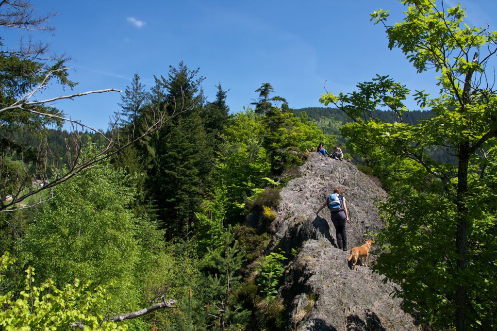karlsruher grat wandern