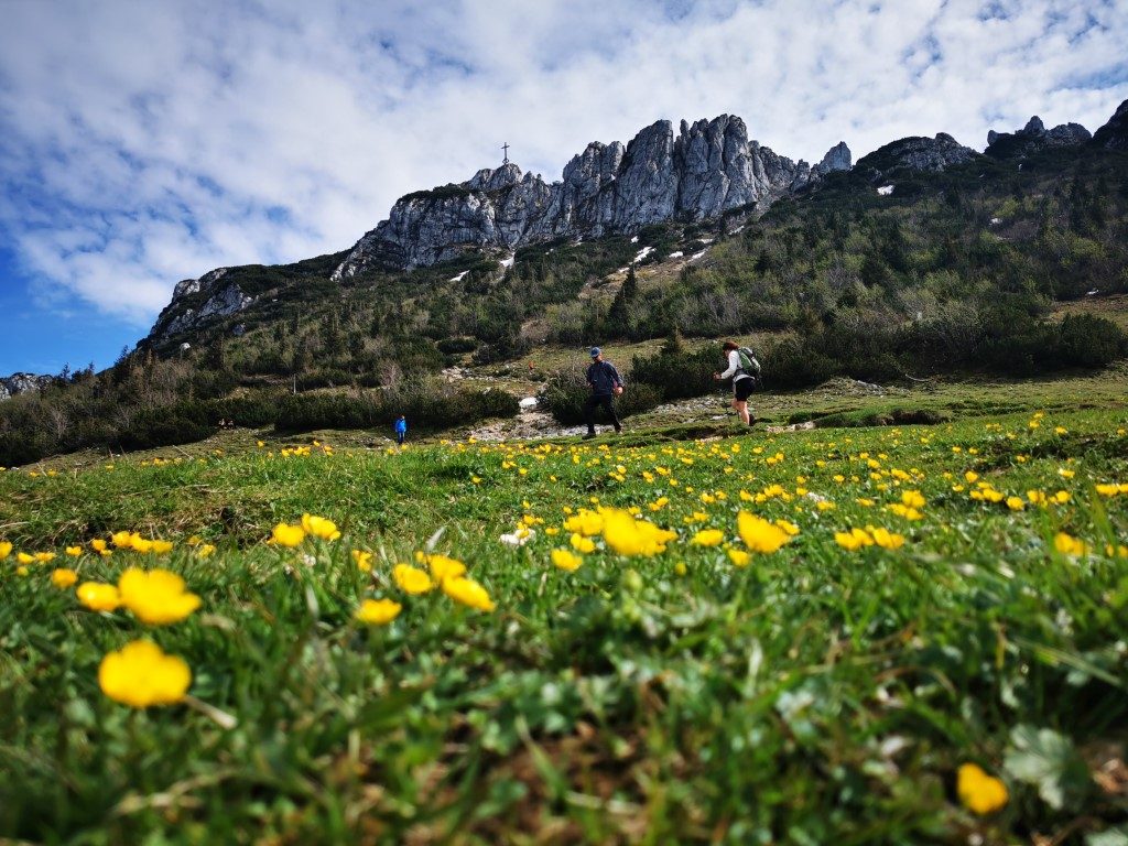 Kampenwand mit Blumen