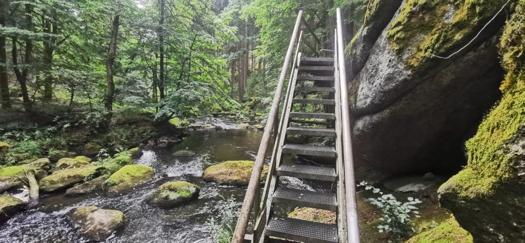 wanderung-waldnaab-leiter.jpg