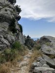 IMG_8314.jpeg
