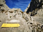 König der Löwen | Treffauer | Wilder Kaiser