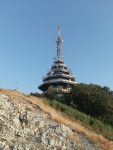 IMG_20240908_072636_1.jpg