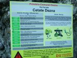 2024051VFDezna (17).JPG