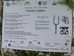 20240512_29CheileCutilor.JPG