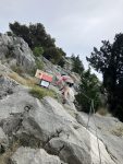 IMG_8315.jpeg