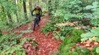 singletrail hersbrucker schweiz