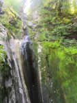IMG_20220806_124534.jpg