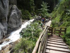 Rosina Klettersteig Ramsau am Dachstein