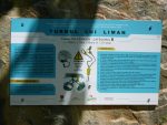 20240513TlLiman (10).JPG