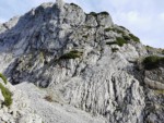 König der Löwen | Treffauer | Wilder Kaiser