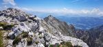 IMG_20240709_133838.jpg