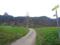 start im grünen mit Blick auf den Leonhardstein (links)