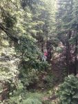 IMG_20250607_115511.jpg
