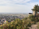 01 strahlenburg-blick-weinberge.jpg