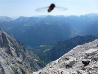 Watzmann Ostwand