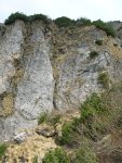 DSCN5690.JPG