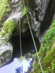 IMG_20220806_124442.jpg