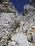 20240824Wagendrischlhorn (89).JPG