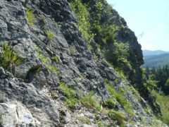 Ostrachtaler Klettersteig Allgäu