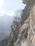 IMG_20250404_170628.jpg