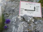 20240512_011PNegrele.JPG