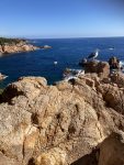 IMG_8107.jpeg