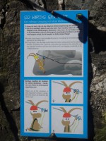 kindergerechter Klettersteig Verhaltensregeln