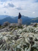 Neuer Schmidkunzweg Hörndlwand | Chiemgauer Alpen