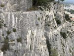 IMG_8045.jpeg