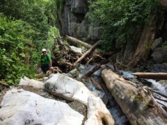 roebi-schlucht-2018-1.jpg