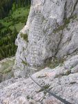 20240514WildFerenc (42).JPG
