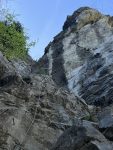 IMG_3241.jpeg