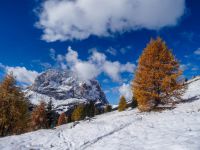 langkofel vom grödner joch aus foto