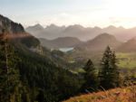 blick-zu-schluss-neuschwanstein.JPG