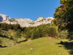 König der Löwen | Treffauer | Wilder Kaiser