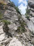 IMG_20250518_142426.jpg