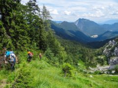 Neuer Schmidkunzweg Hörndlwand | Chiemgauer Alpen