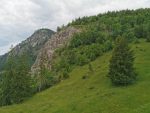 IMG_20250604_101902.jpg