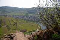 Calmont Klettersteig Mosel - Bild: Björn Degel