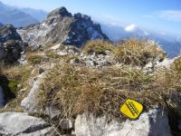 Hindelanger Klettersteig