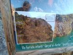 IMG_20241023_092113.jpg
