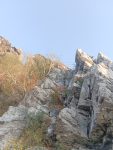 IMG_20240908_071253.jpg