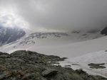 IMG_20210724_094834.jpg